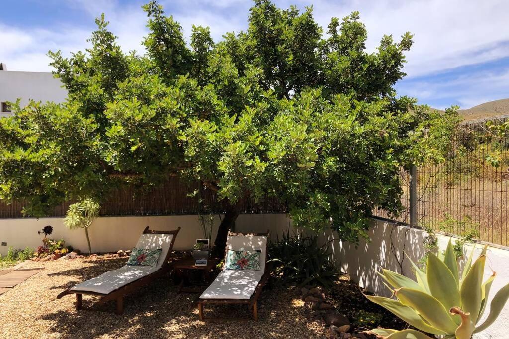 Vila Casa Granado En Cabo De Gata Rodalquilar Exteriér fotografie
